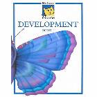Nelson English Development, Book 1: John Jackman & Wendy Wren