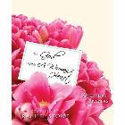 To God From A Woman's Heart: Rachel Stowe