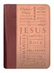 Names of Jesus Fabric Medium Duo-Tone Bible Cover: Zondervan Publishing