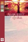 Amplified Bible-AM: Zondervan Publishing