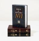 Biblia de Estudio-Nu: Vida Publishers