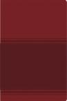 Santa Biblia Lectura Facil-NVI-Letra Grande: Vida Publishers