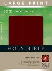 Large Print Compact Bible-NLT: Tyndale House Publishers