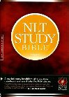Study Bible-NLT: Tyndale House Publishers