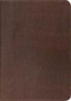 Study Bible-ESV: To Understand the Bible in a Deeper Way: Crossway Bibles
