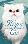 Hope, the Big Headed Cat: Not Just Another Animal Story: Quentin Newhouse Jr. Phd