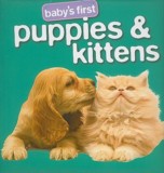 Baby's First Puppies & Kittens: Michael Raz & Andrew Burgess & Silvana Paolini